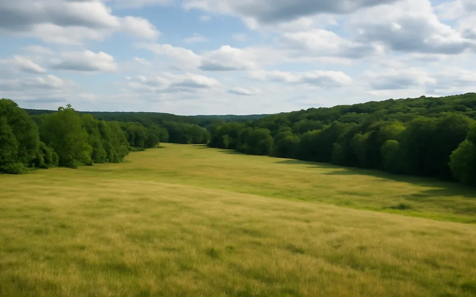 Rural acreage in Rochester