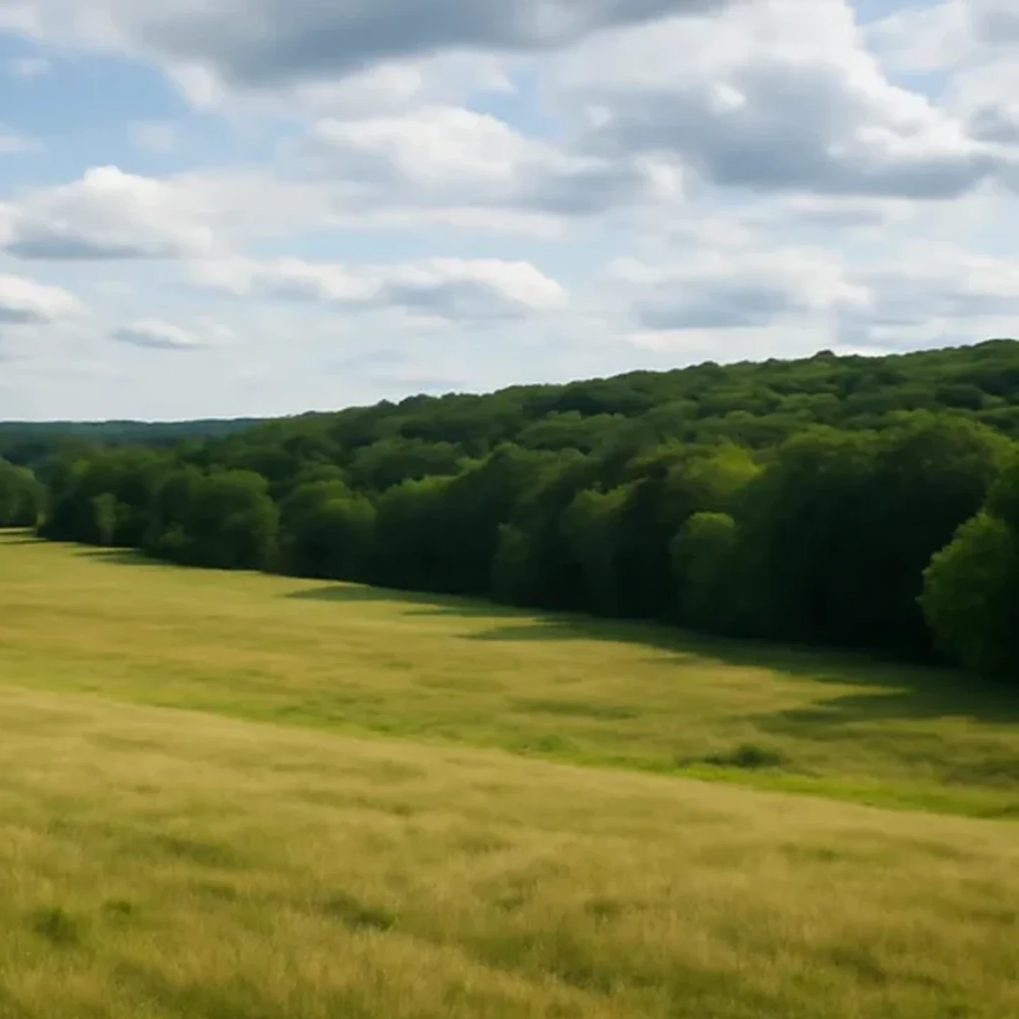 Manchester vacant land, wooded acreage, and rural parcels in New Hampshire